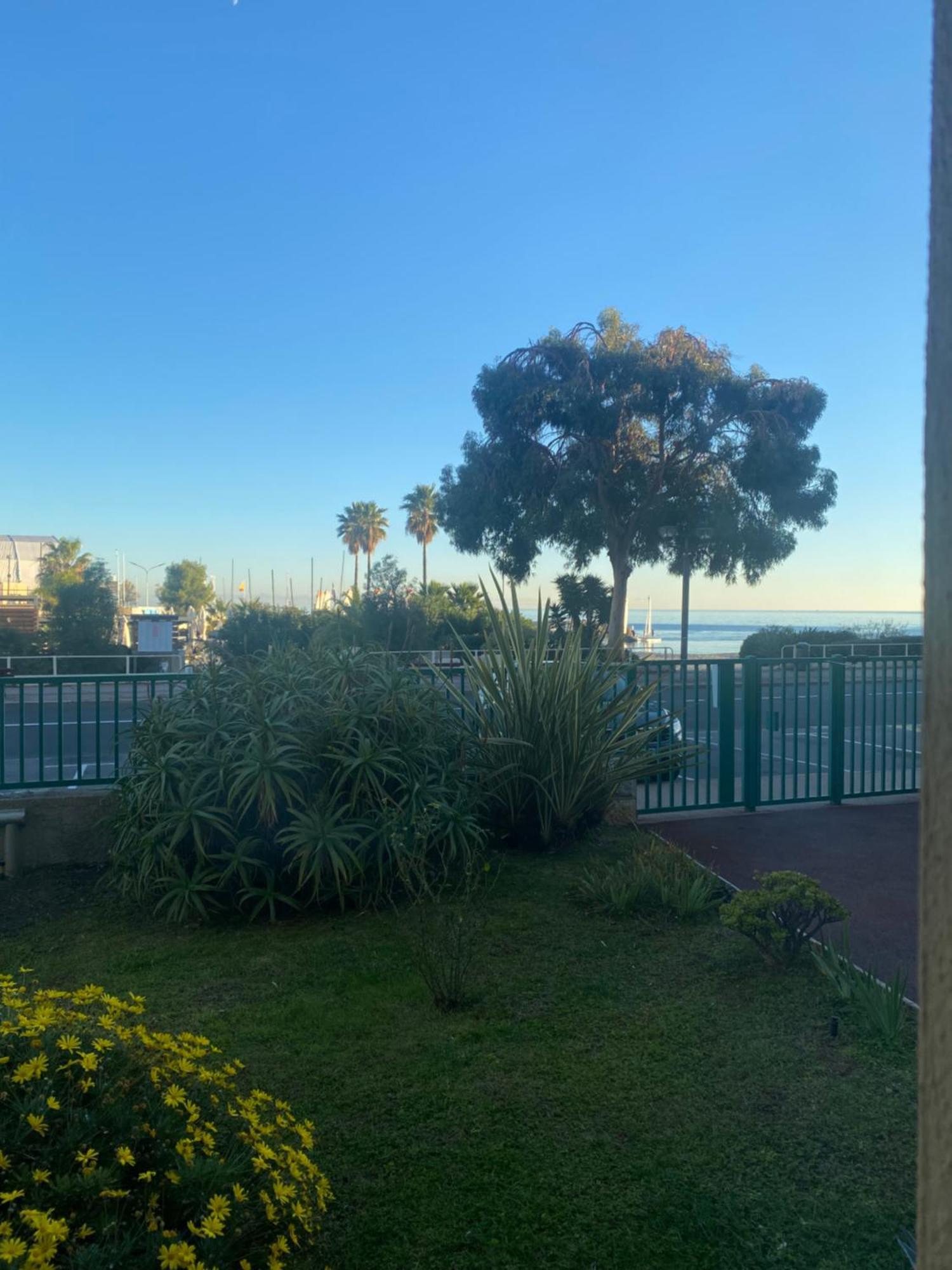 Appartement Confortable, Petite Vue Mer Et Piscine Cassis Eksteriør billede